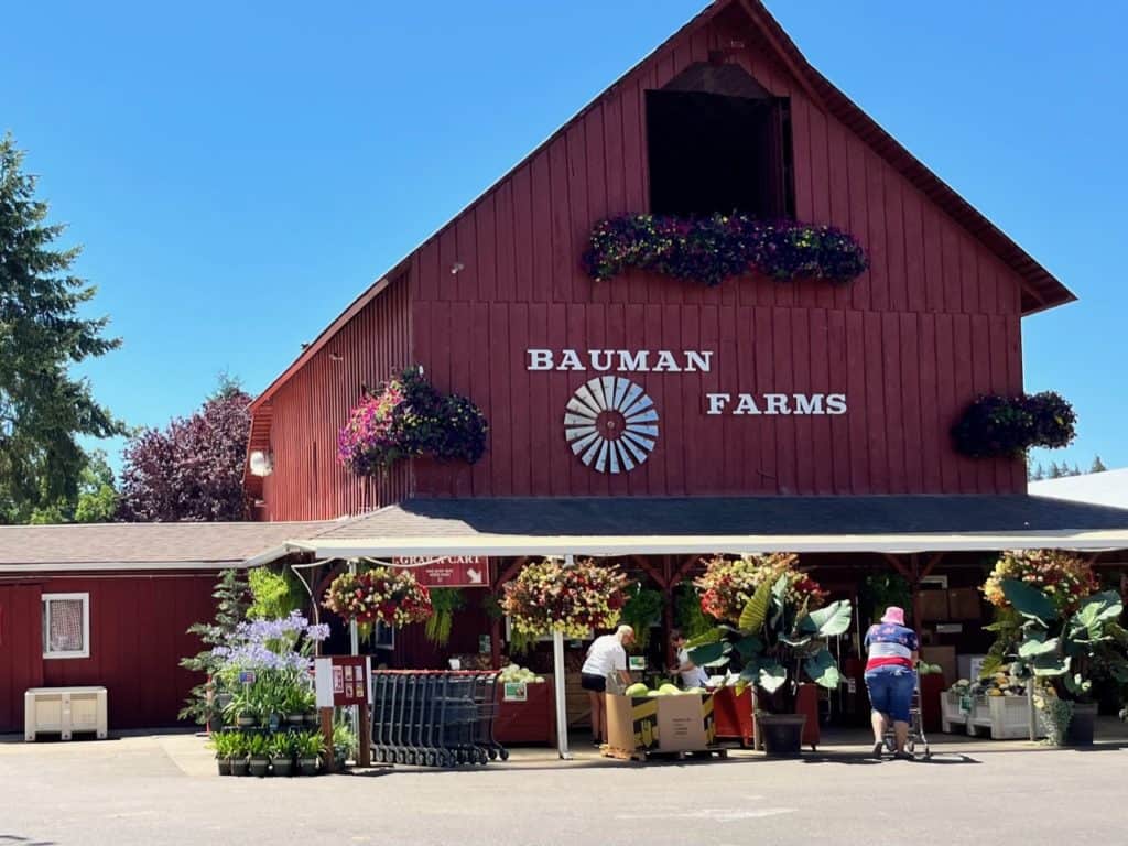 Bauman Farms main store in Gervais. This is the best known pumpkin patch near Salem, Oregon.