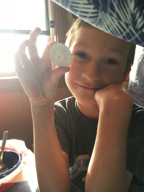 My son holds an unbroken sand dollar that he found at Cannon Beach. You can find all kinds of riches on Oregon beaches.