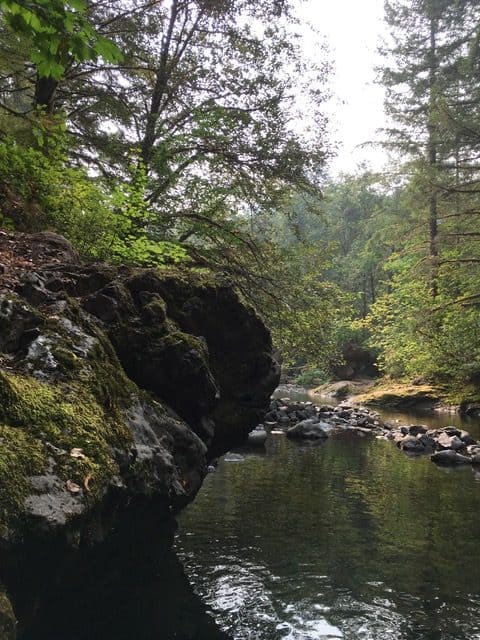 Elk Creek flows through Oregon's coastal range. Oregon agates are cut out of the coastal range by rivers and creeks like Elk Creek.