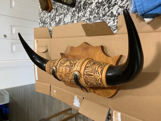 A large set of buffalo horns sits on my kitchen counter. Now where to put them? Cowboy gifts for men.