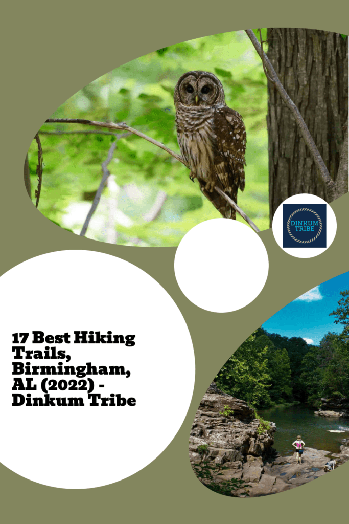 Pinnable collage of images from hiking trails near Birmingham, AL