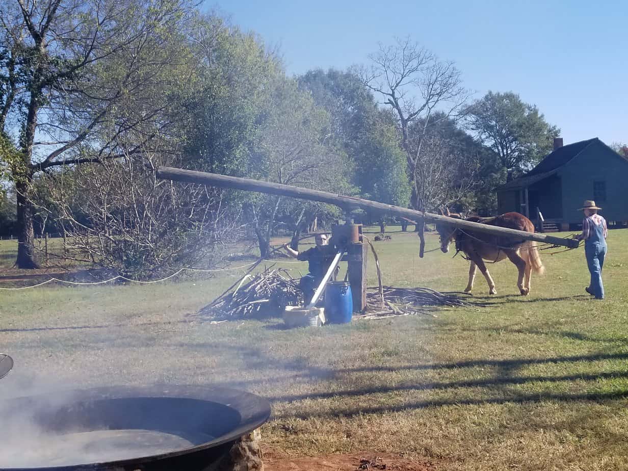 A donkey and driver turn the timber of a cane press. Cane syrup boils in a nearby pot. Jimmy Carter NHS is one of the 12 best national park sites in Georgia.