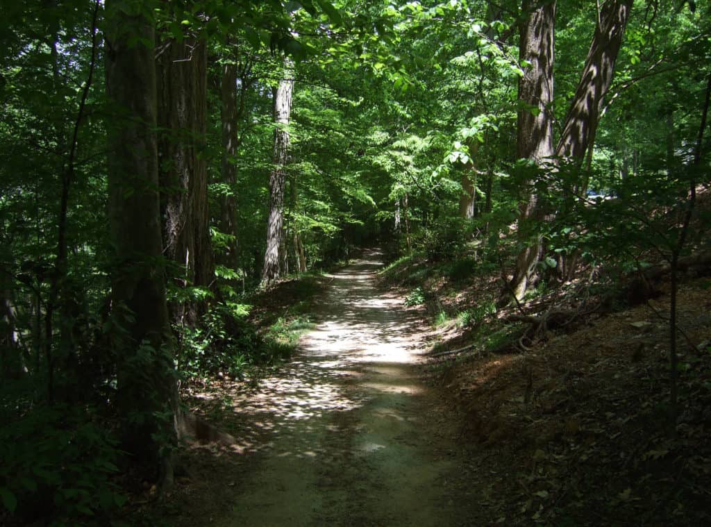 A path leads though Jemison Park in Birmingham AL. Jemison is one of the 17 best hiking trails in Birmingham AL.