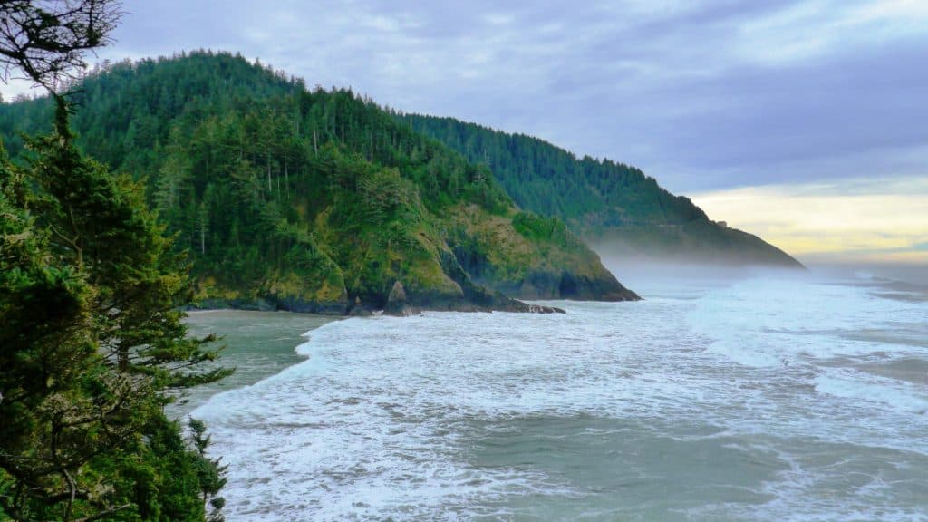 Mist covered waves pour into green, forested coves along the Central Oregon Coast.