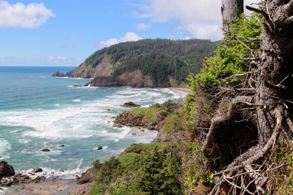 Teal ocean waves pour into the cove forested cove that holds Indian Beach in Ecola State Park. Indian Beach is one of the 21 best beaches in Northern Oregon.