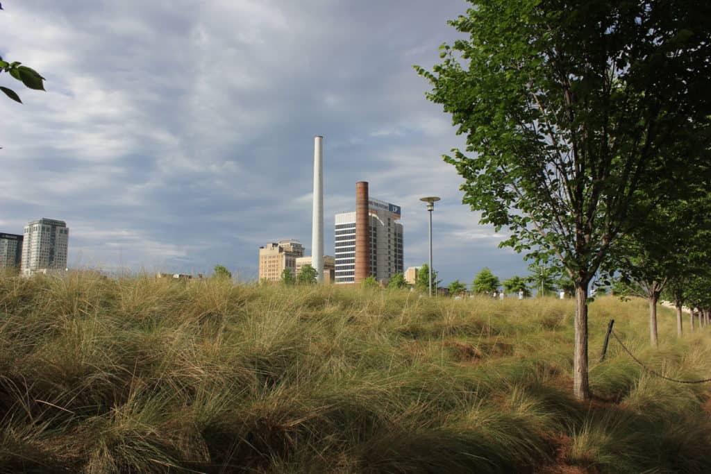 Downtown Birmingham towers above the cool, inviting green space known as Railroad Park.