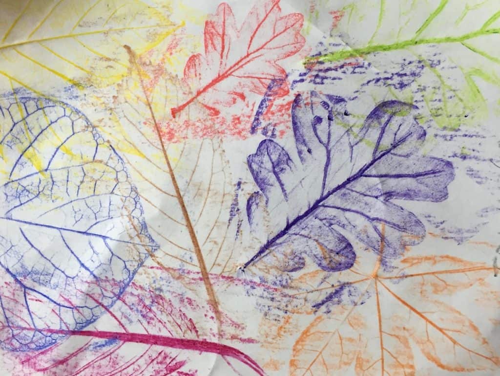 Leaf rubbing. Fall activities for teens