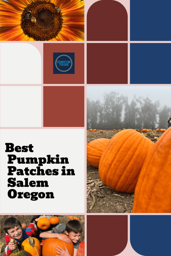 Pinnable pumpkin patch in Salem Oregon