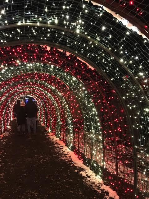 People admire the lights as they walk through an illumined tunnel at the Silverton Christmas Market.