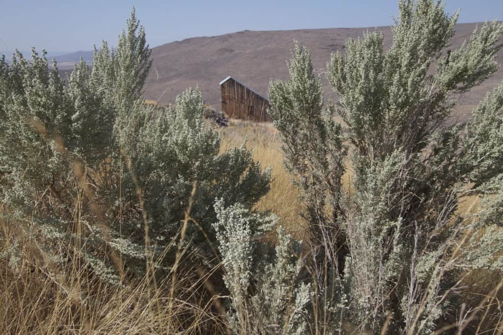 Sage brush frames a view of the historic stamp mill at National Historic  Oregon Trail Interpretive Center.