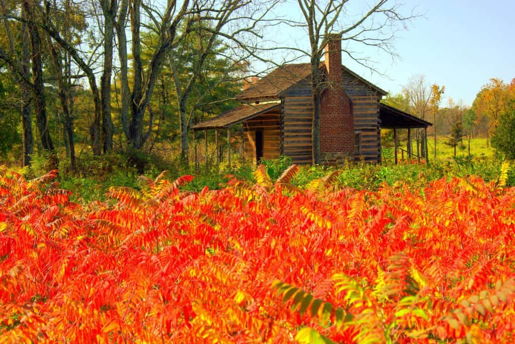 Fall colors set shrubs ablaze beside a historic cabin at Cowpens National Battlefield. You can find several Revolutionary War sites on Dinkum Tribe's list of national parks and monuments by state. Image by NPS.