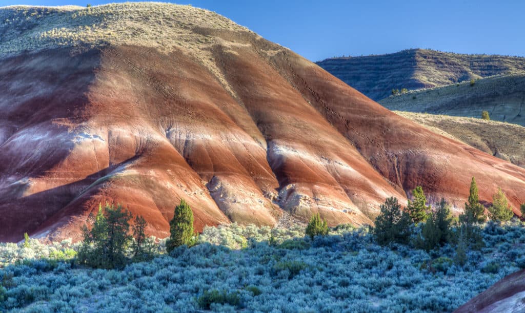 Winter morning sunshine gilds the face of a painted hill near the John Day Fossil Beds National Monument.
The John Day Fossil Beds National Monument is one of the 15 best Portland Oregon day trips for families.