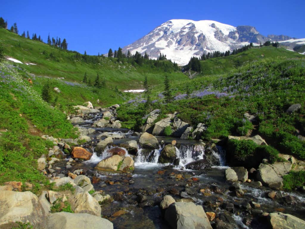 Mount Rainer stands above wild, cascade countryside at Mt. Rainer National Park. Image from GPA Photo Archive. list of national parks and monuments by state.