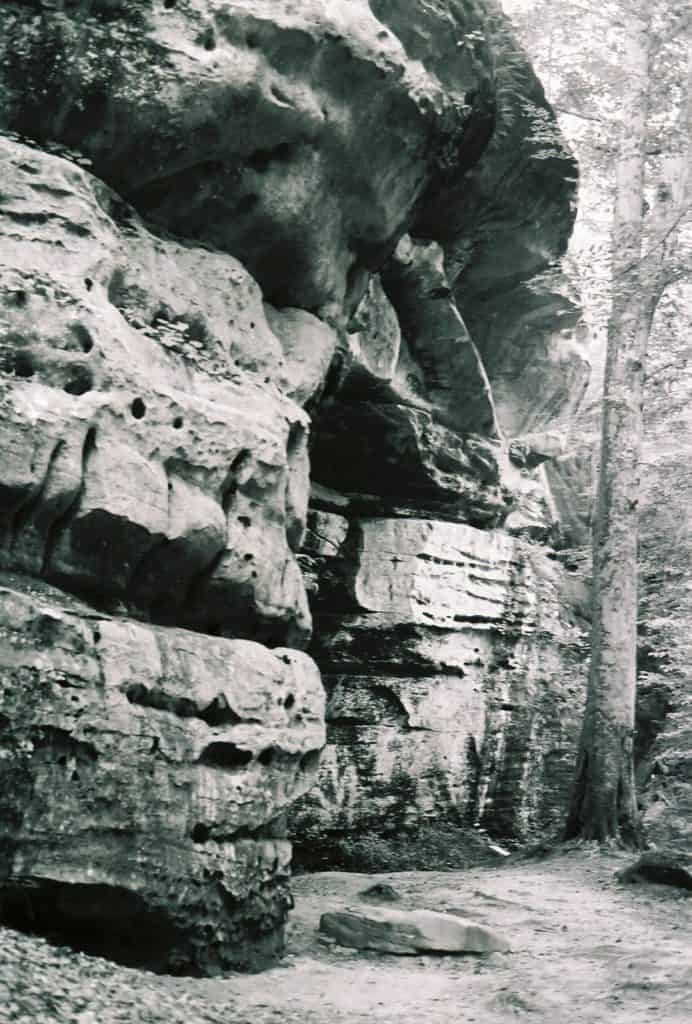 The opening of Ox-Lot Cave peaks out from a sandstone bluff on the Rim Rock National Recreation Trail. Rim Rock National Recreation Trail is one of the 37 best things to do in Southern Illinois.