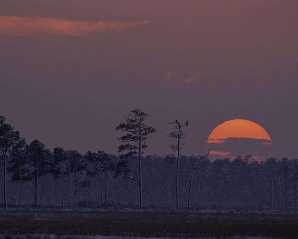 The sun sets over wild swampland in Maryland. Image from GPA Photo Archive. list of national parks and monuments by state