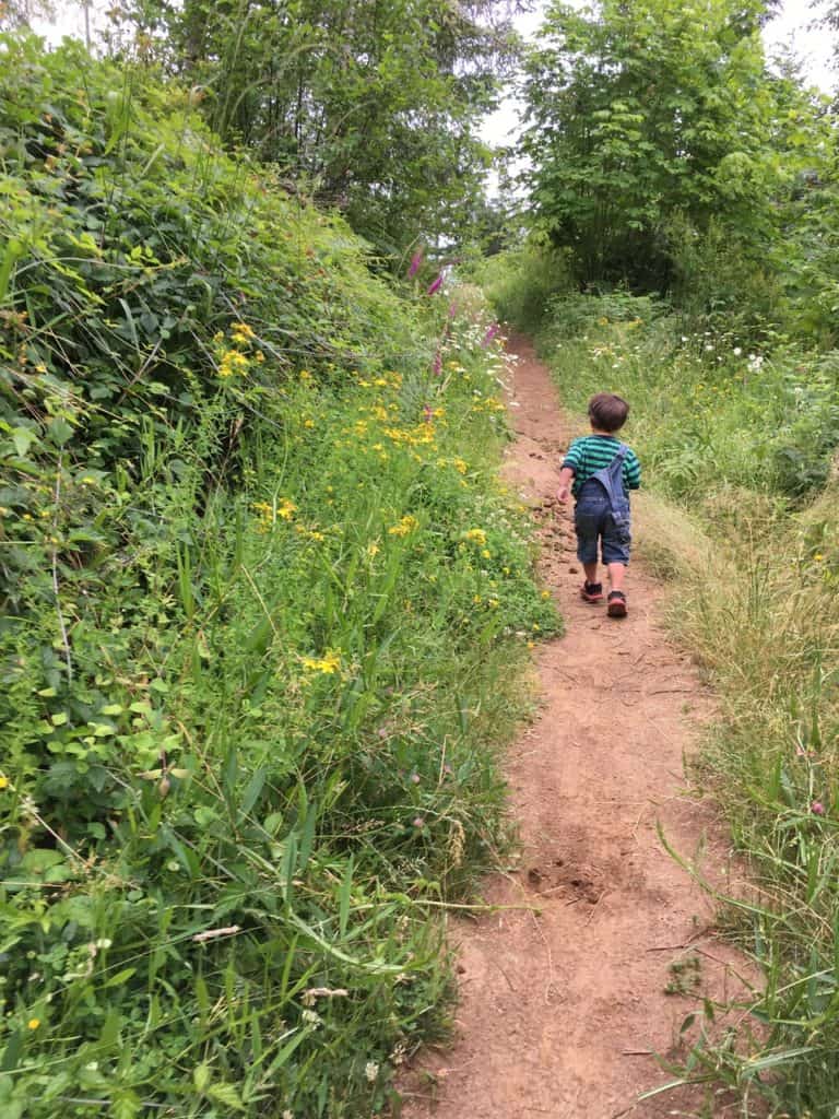 My little toddler makes his way up a dirt path at Stewart Stubb State Park. Wildflowers line both sides of the wooded path.