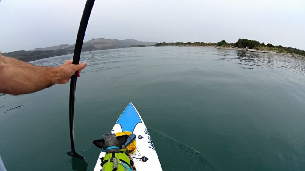 A small dog oversees his kayakers progress as the man paddles his way through Nehalem Bay State Park. Nehalem Bay State Park is one of the 21 best beaches in Northern Oregon.