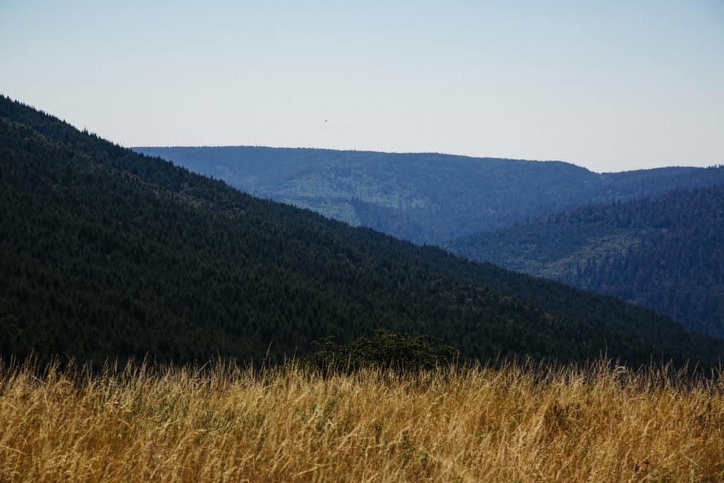 A viewpoint from Bald Hills Road shows prairie land and forested hills in the distance. Bald Hills Road is often a pitfall for people who don't know how to get to Redwood National Park.
