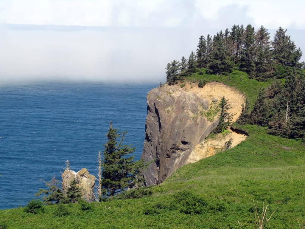 Pine trees crown the top of a craggy cliff that overlooks the see at Oswald West State Park.
