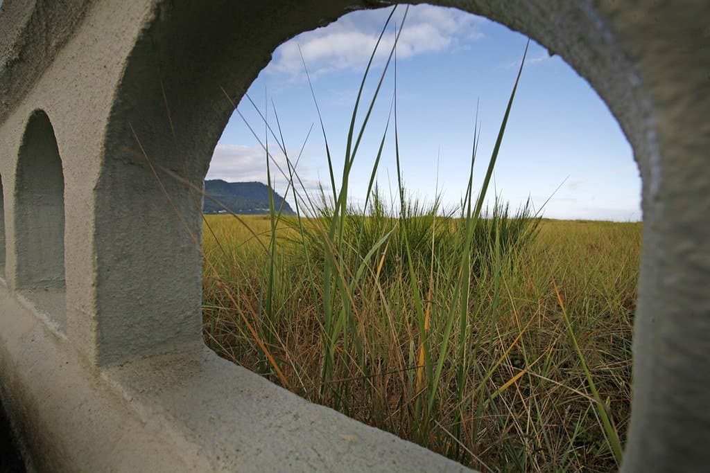 An arched window of a cement fence frames a scene of grassy, coastal dunes at Seaside Beach. 