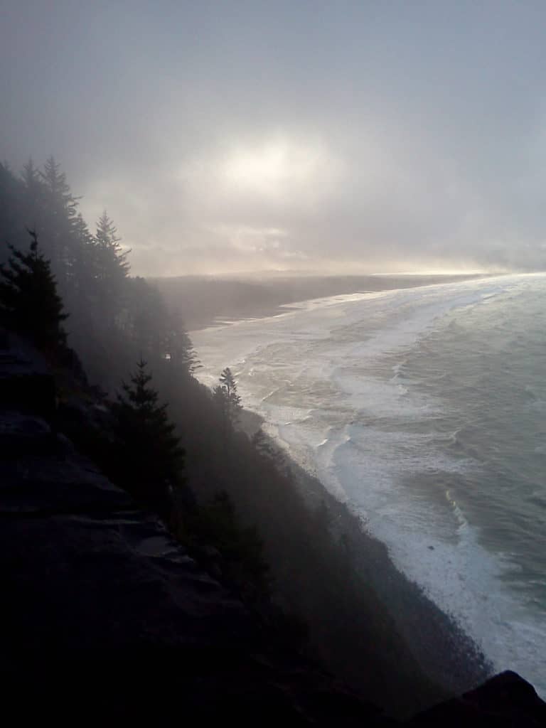 Mist hides forested headlands along Oregon dramatic coastline.