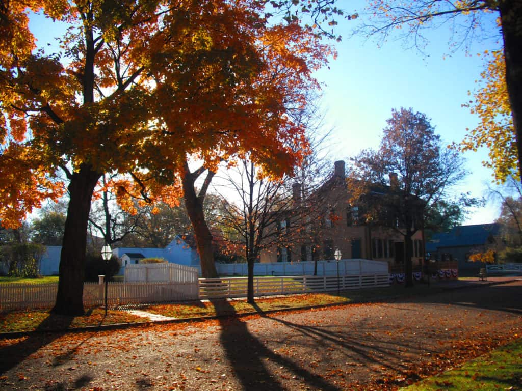 Late afternoon sun lights up autumn leaves in the historic neighborhood at Lincoln Home National Historic Site.