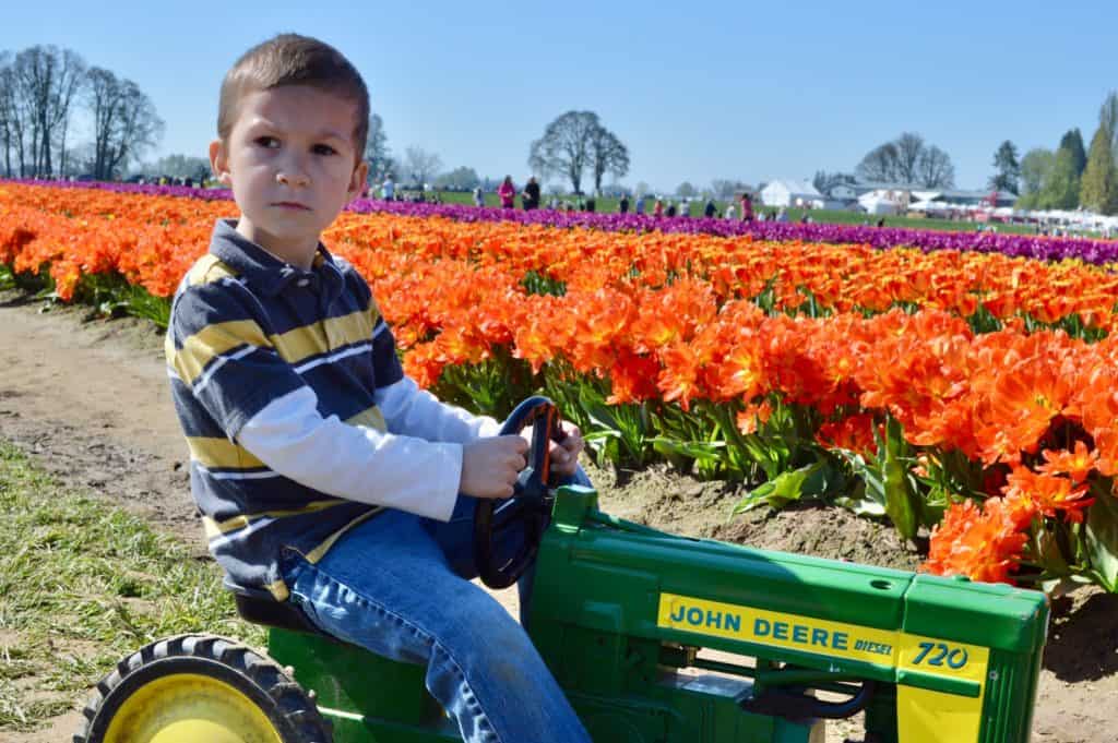 Boy on child-sized tractor in front of orange tulips. Tulip festival Oregon best time to go.