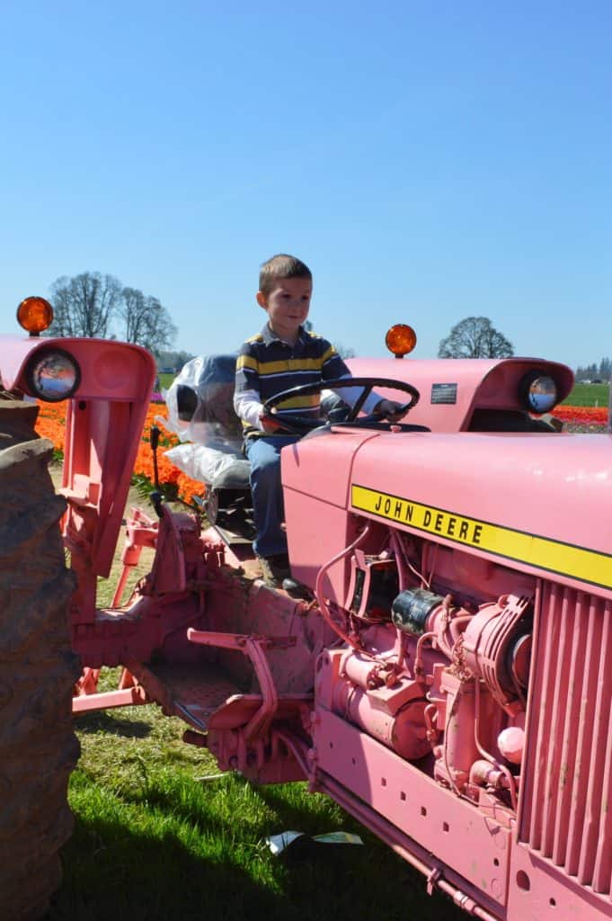 Boy on pink tractor in tulip field