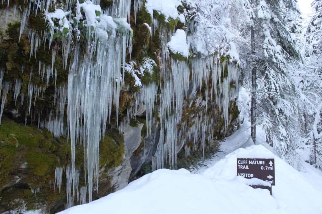 Footlong icycles hang near the cave exit at Oregon Caves National Monument and Preserve.