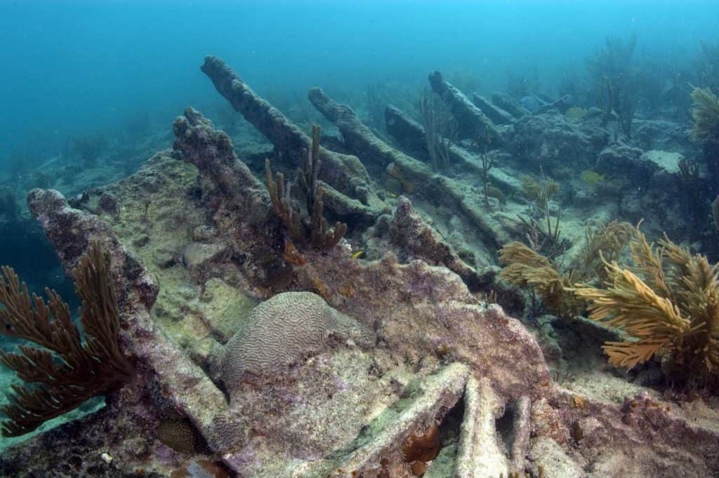 Coral and sea plants grow within a shipwreck at Biscayne National Park. Biscayne National Park is one of the best national parks to visit in November and December.