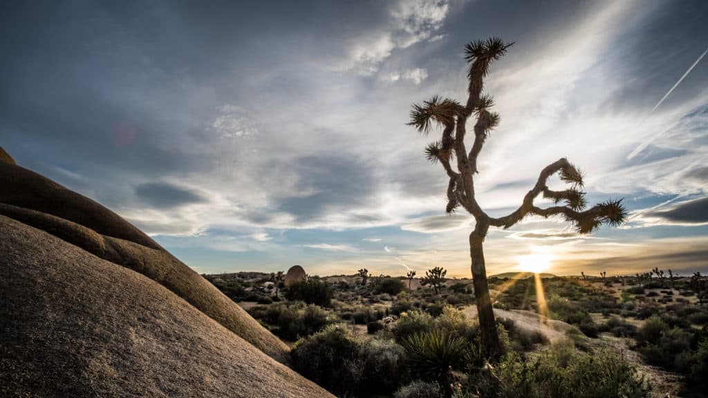 The sun sets at Joshua Tree National Park. Joshua Tree National Park is one of the best national parks to visit in November and December.