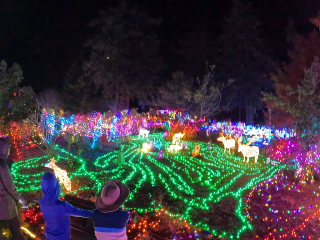 Three of our children look over a glowing landscape of lights at the Nature's Coastal Holiday lights display in Azalea Park, Brookings. If you enjoy Christmas lights in Salem Oregon, then you'll love Oregon's other fantastic light displays. 