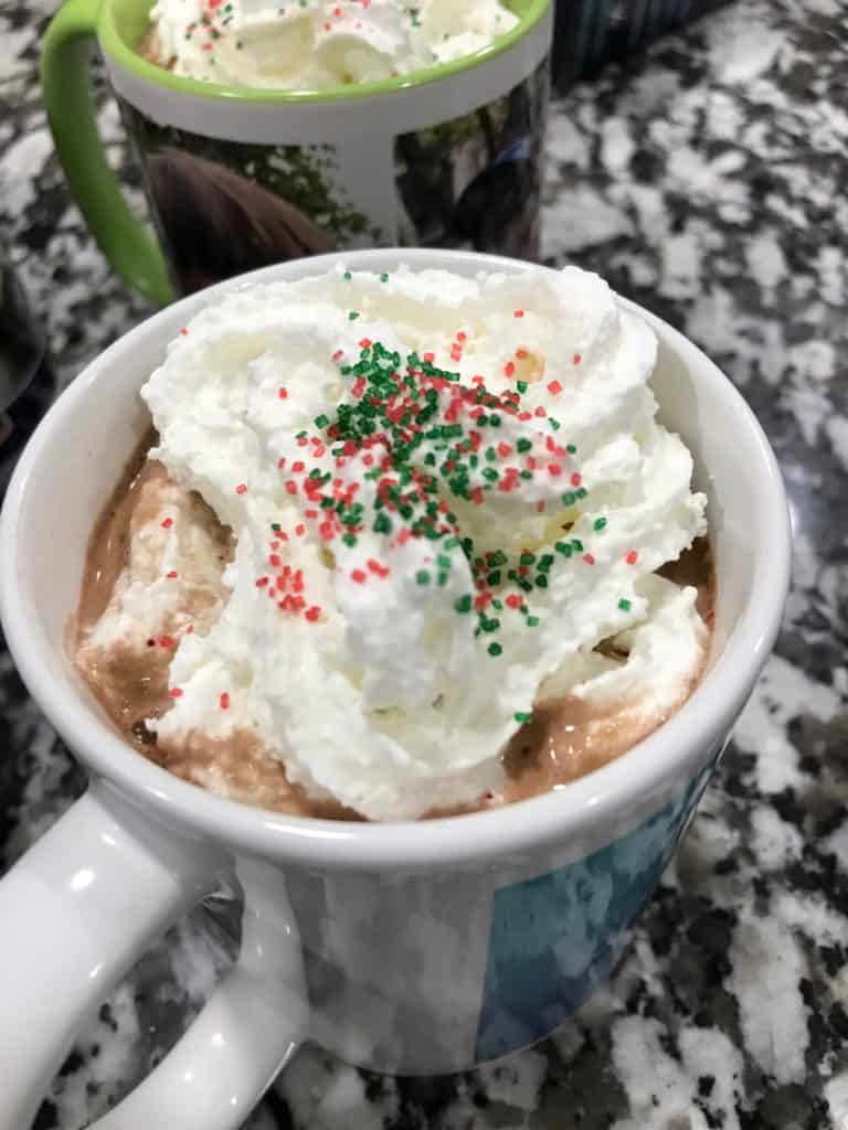 Hot cocoa with whipped cream and red and green sprinkles. Family Christmas bucket list.