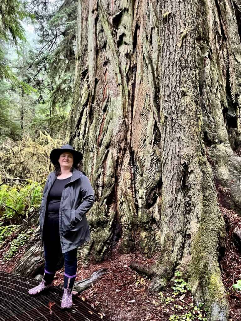 My wife stands beside a massive redwood at Redwood National Park. 
