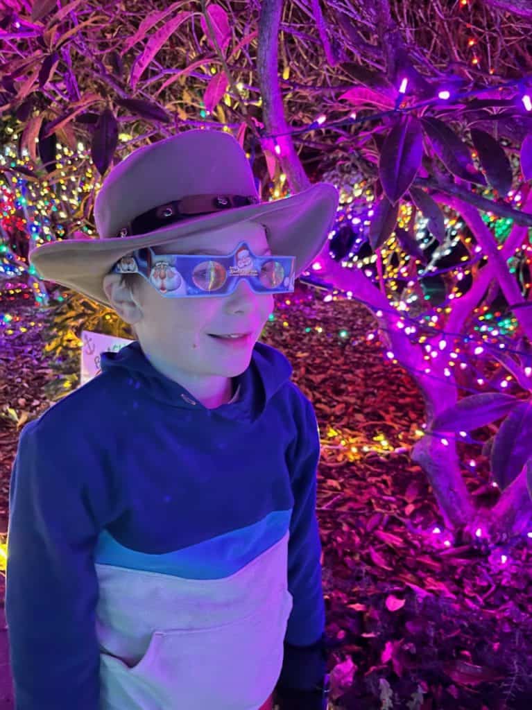 Our son looks at the holiday lights with joy and wonder. You can find great light shows all over Oregon. These shows are just as good as the best places to see Christmas lights in Portland.