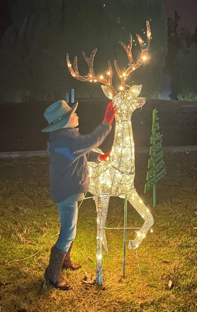 My son pets an illuminated reindeer at the Christmas Light Spectacular at Silver Creek Fellowship. The Christmas Light Spectacular is one of the 11 best places to see Christmas lights in Salem Oregon.