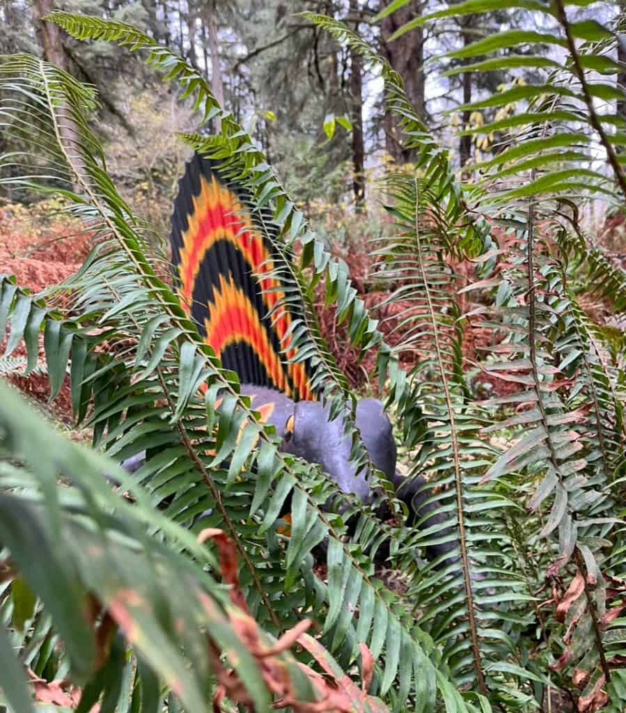 A life-size dimetrodon statue stares through the ferns at Prehistoric Gardens.