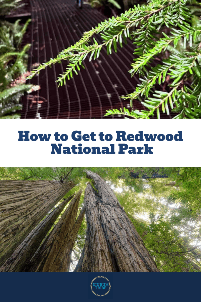 Pinnable image for how to get to Redwood National Park