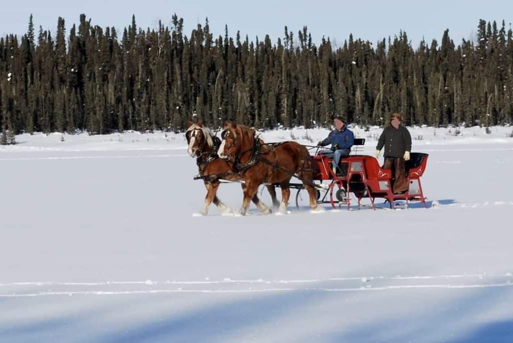 Horse-drawn sleigh on a frozen lake.