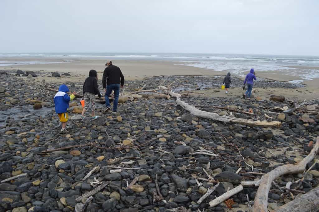 My children and I hunt for agates at Mooloack Beach.