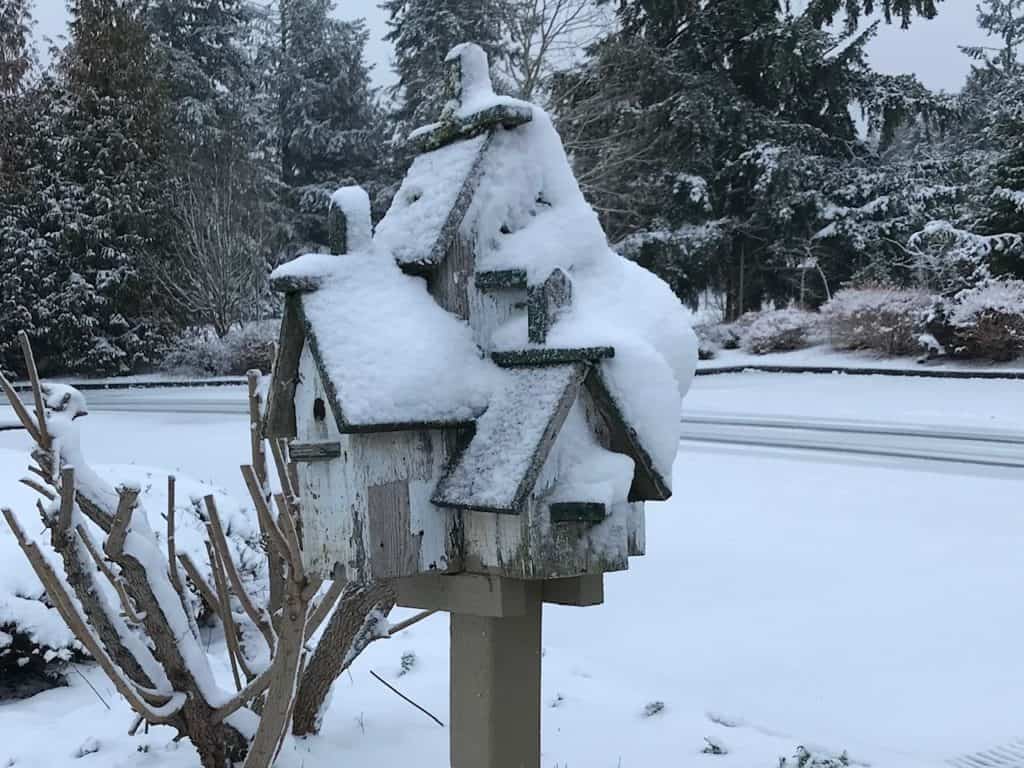 Birdhouse covered in snow. Winter Activities for Teens.