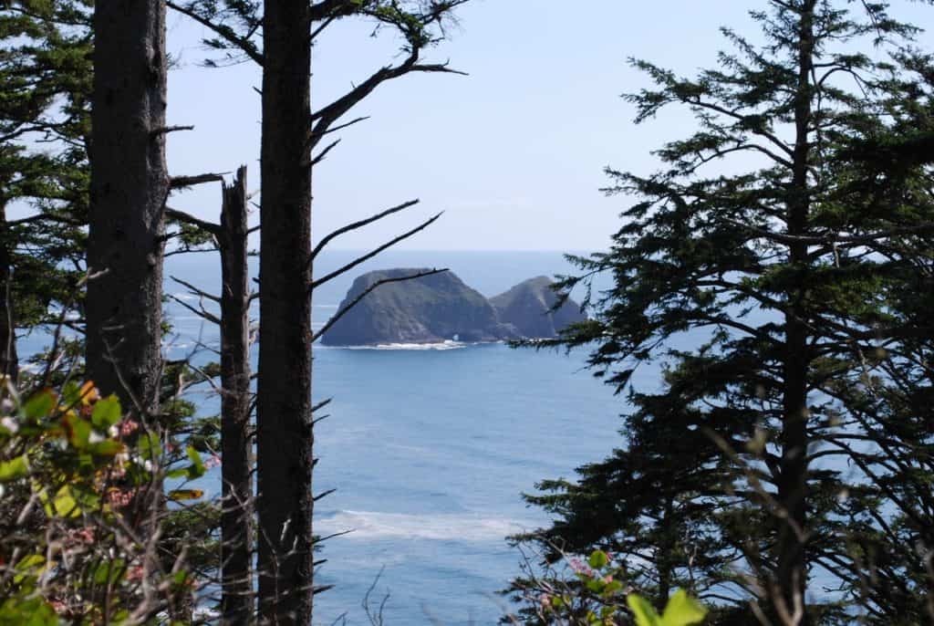 Sitka Spruce trees frame a view of sea stacks on the Oregon Coast. Wolf Tree Brewery uses fresh spruce tips to flavor their beers.