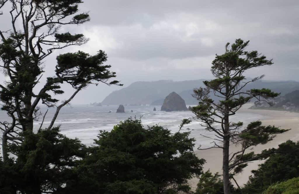 Coastal cypresses frame a bluff-top view of Cannon Beach.