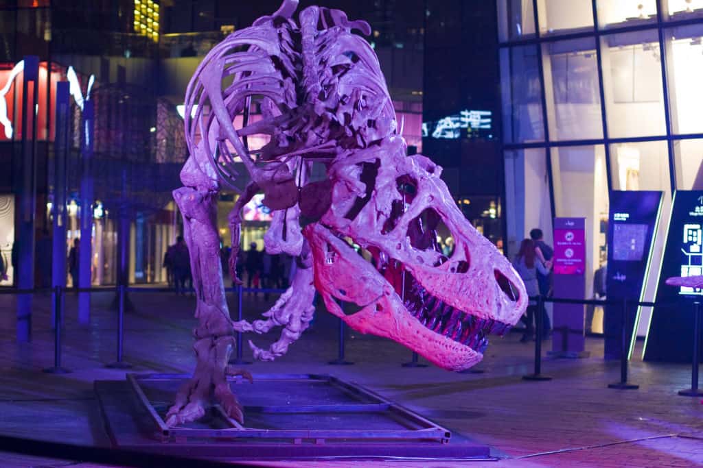 A T. Rex statues prowls though a mall in Rapid City, South Dakota.