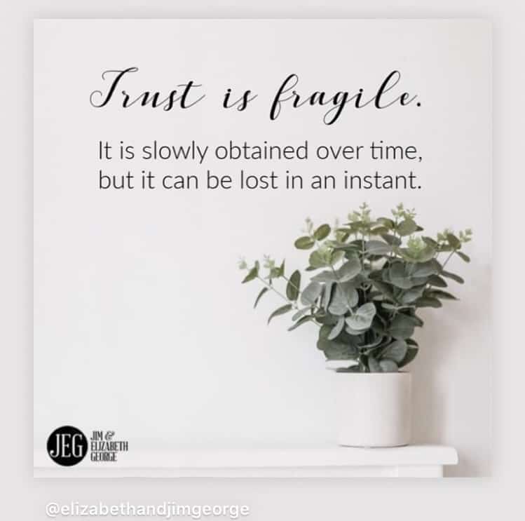 Quote about trust: "Trust is fragile. It is slowly obtained over time, but it can be lost in an instant." By Elizabeth George.