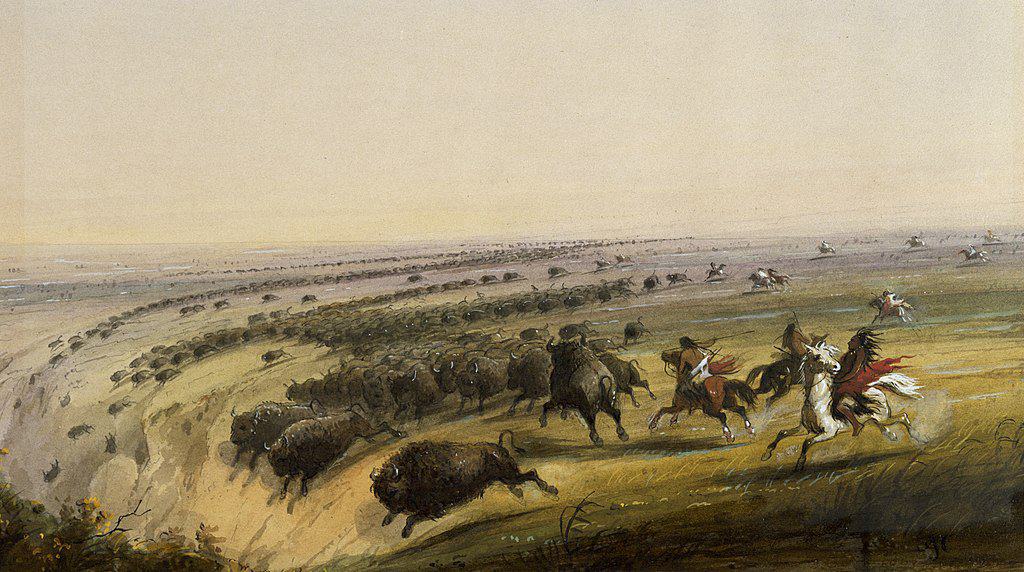 Indigenous warriors run herds of bison off of a buffalo jump.
