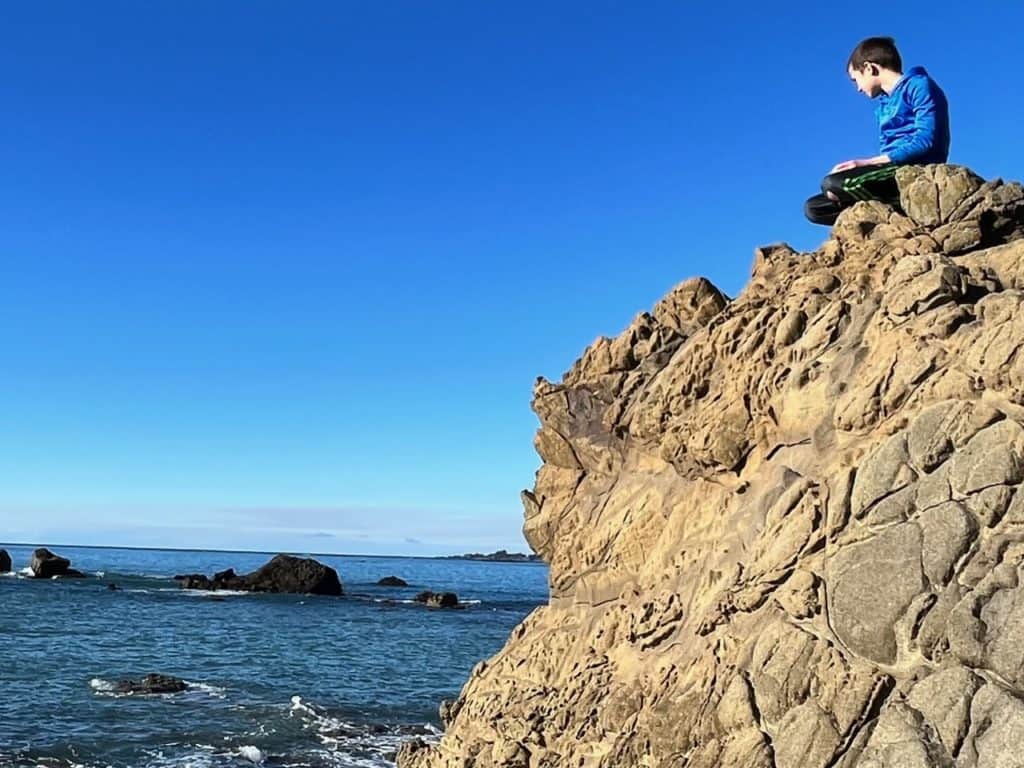 Boy on alone on a rock looking out to sea. results of no contact with toxic family