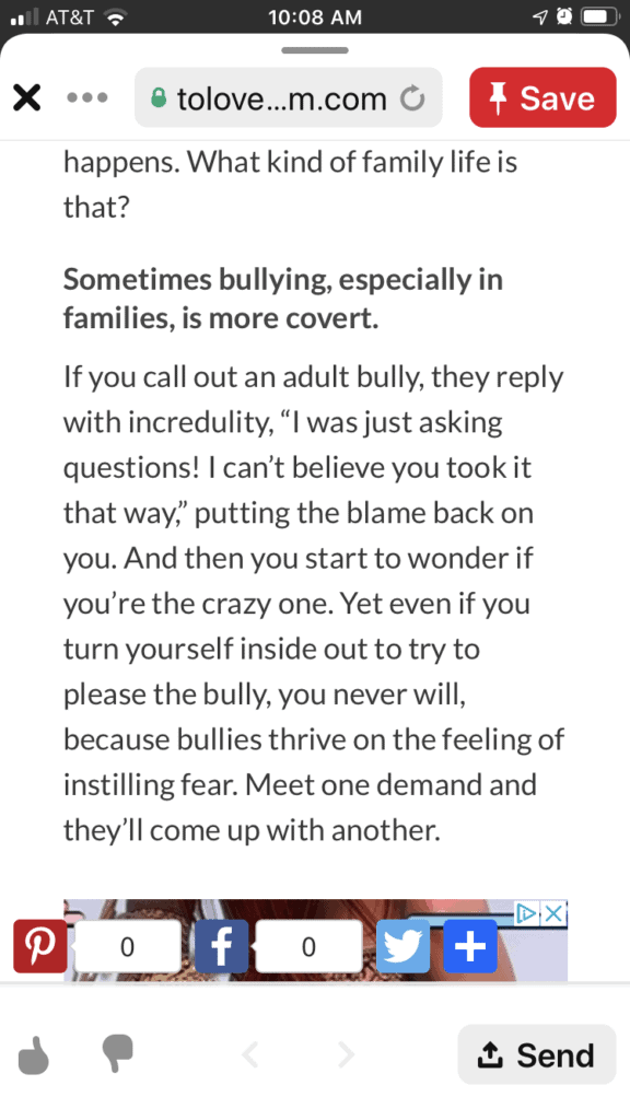 Screenshot of blog post about adult bullies.