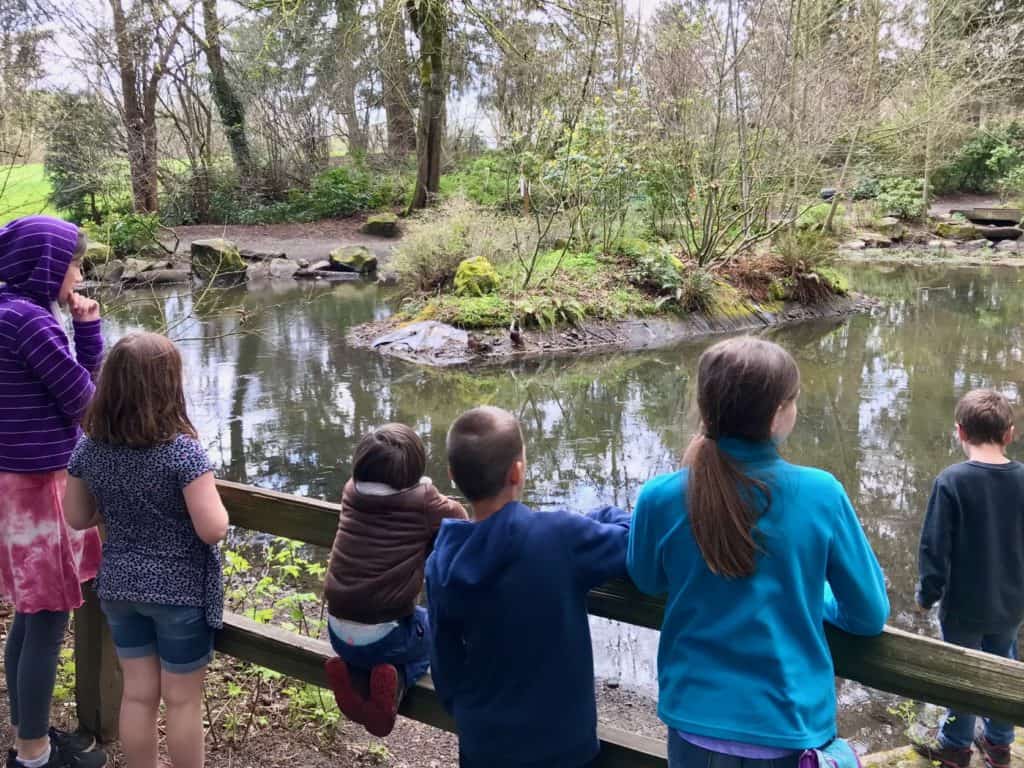 Six children overlooking pond.