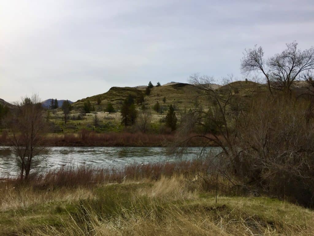 Peaceful stream and hills.